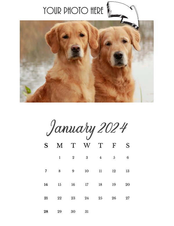 Portrait - Photo - January 2024 - Personalized Templates