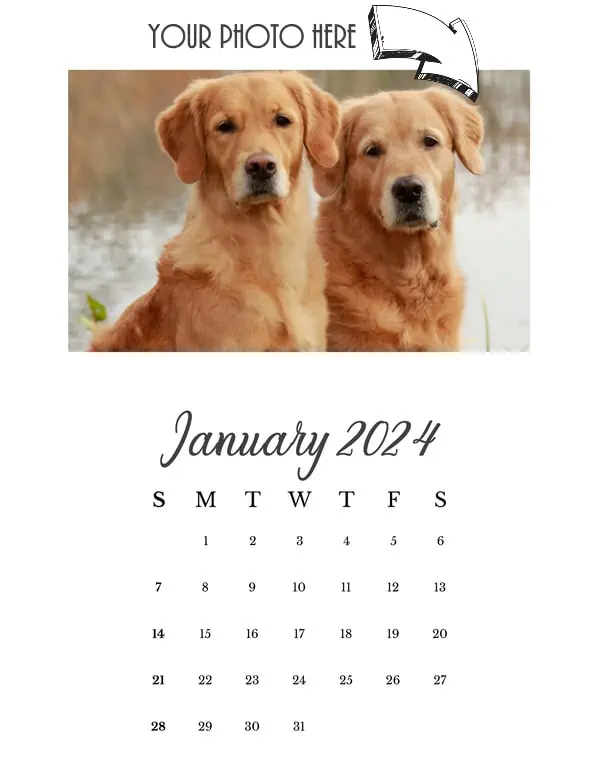 January 2024 - photo calendar