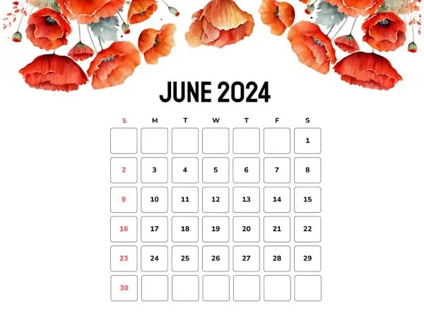 June 2024 poppies on blank calendar