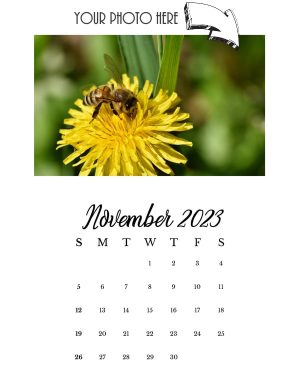 nov 23 - photo calendar