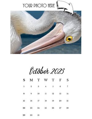 oct 23 - photo calendar